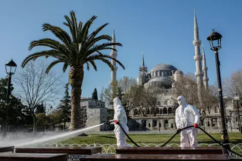 Photo by IV. Murat / Shutterstock.com