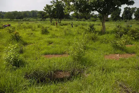 A mass grave made up of noncombatants in rural Central African Republic. Photo: Jack Losh