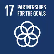 SDG17 SDG17