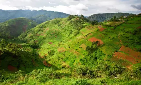 Bwindi Impenetrable National Park in South-Western Uganda, a UNESCO World Heritage Site