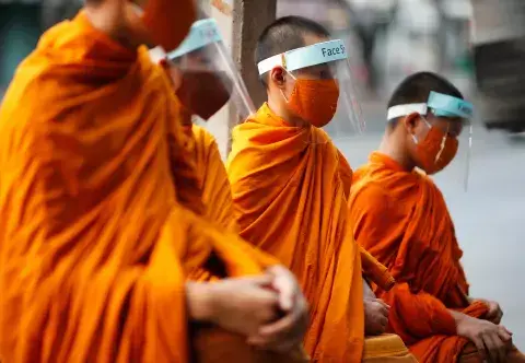 Photo by Thavorn Rueang / Shutterstock.com